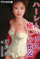 ハーレムハウス 癒しの蜜交 b055bespr00490のパッケージ画像 ハーレムハウス 癒しの蜜交 b055bespr00490のパッケージ画像