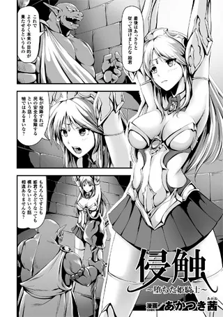 侵触〜堕ちた姫騎士〜【単話】