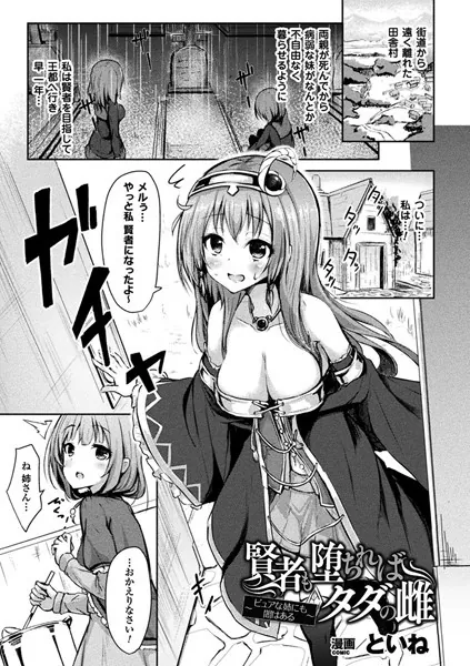 賢者も堕ちればタダの雌 〜ピュアな姉にも闇はある〜【単話】