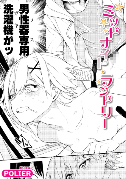 ミッドナイト・ランドリー