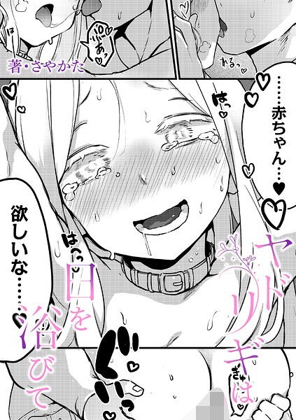 ヤドリギは日を浴びて