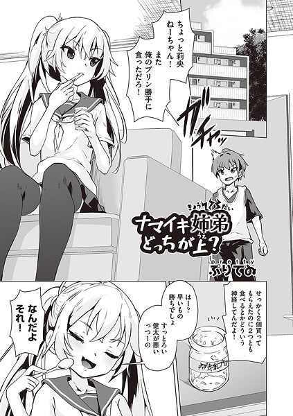 [ぷりてゐ]ナマイキ姉弟どっちが上？