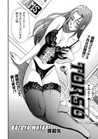 TORSO