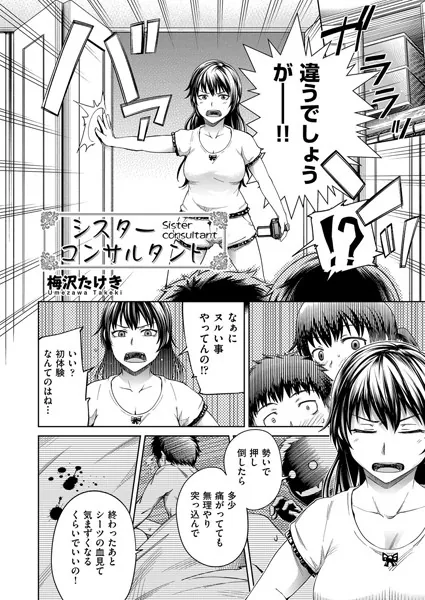 シスターコンサルタント