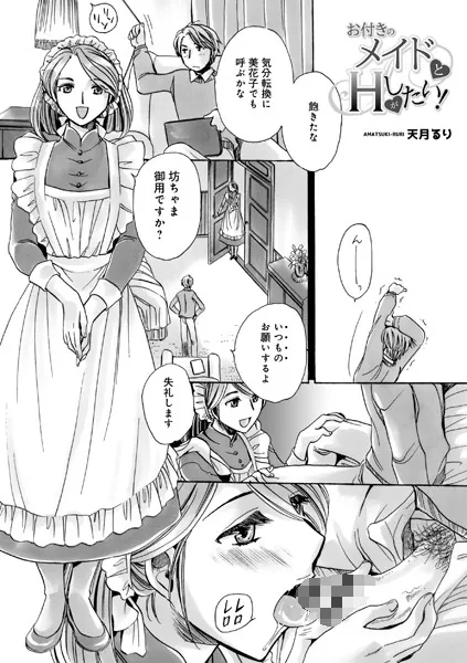 お付きのメイドとHがしたい