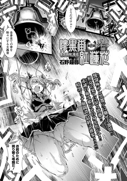 b164aisis02667 表紙