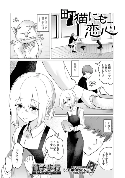 町猫にも恋心