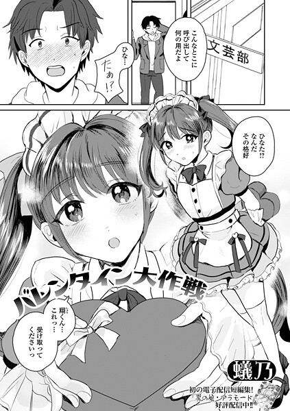 バレンタイン大作戦