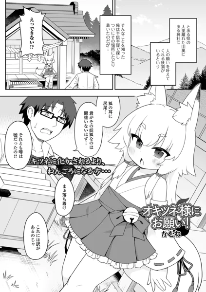 オキツネ様にお願い！