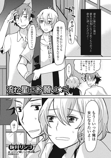 流れ星にお願い