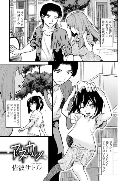 アネカレ