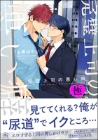 完璧上司の悪い癖【極】