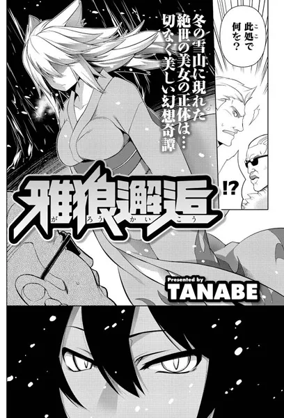 雅狼邂逅