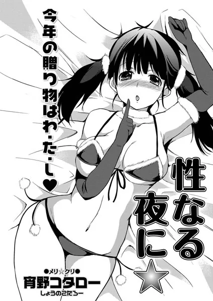 性なる夜に