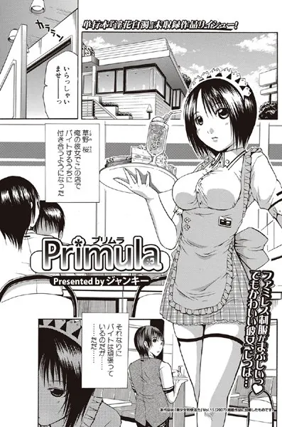 Primula