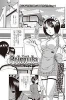 Primula(単話) b243abskm00009のパッケージ画像 Primula(単話) b243abskm00009のパッケージ画像