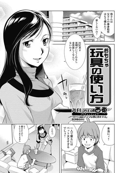 玩具の使い方