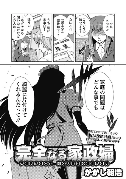 完全なる家政婦〜PERFECT HOUSEKEEPER〜