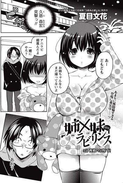 姉×妹ラビリンス （3）