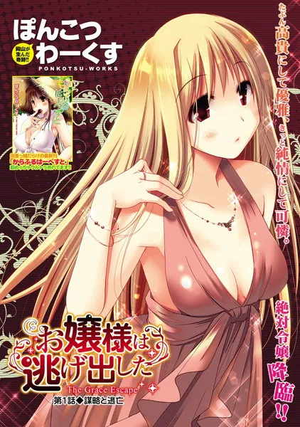 お嬢様は逃げ出した （1）