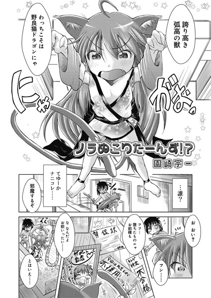 ノラぬこりたーんず！？[園崎宗一] 