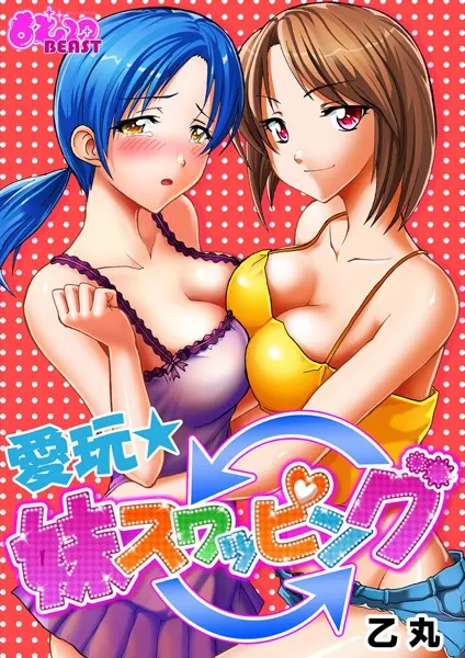 愛玩★妹スワッピング（3）