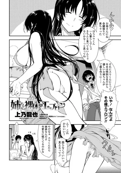 姉ちゃんの裸体×エプロン