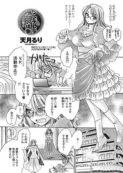シンデレラの情事 五着目