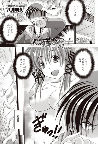 Mr.残念騎士