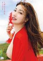 しばしとどめむ あべみほ写真集