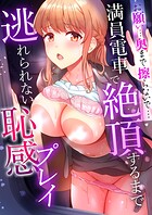 「お願い…奥まで擦らないで…っ」〜満員電車で絶頂するまで逃れられない恥感プレイ