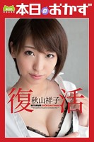 復活 秋山祥子 本日のおかず b369adec00884のパッケージ画像 復活 秋山祥子 本日のおかず b369adec00884のパッケージ画像