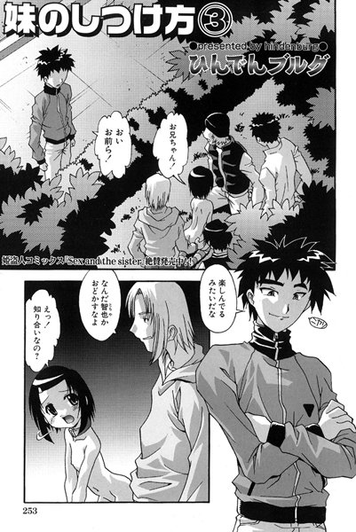 妹のしつけ方（3）[ひんでんブルグ]