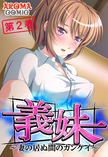 義妹 〜妻の居ぬ間のカンケイ〜 2