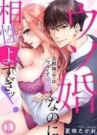 ウソ婚なのに相性よすぎッ！〜旦那様（仮）はワルくて絶倫〜（単話）