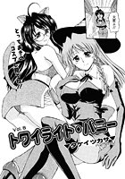 トワイライト・バニー（8）