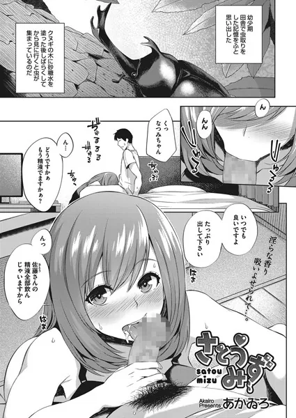 さとうみず