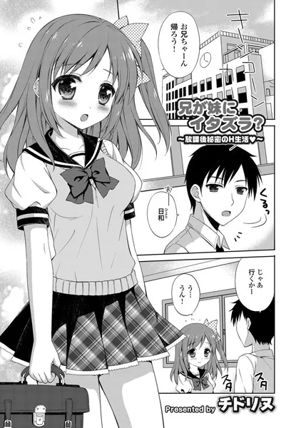 兄が妹にイタズラ？ 〜放課後秘密のH生活〜