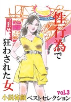 性行為で狂わされた女 『小説秘戯』ベストセレクション b447aitfn00444のパッケージ画像 性行為で狂わされた女 『小説秘戯』ベストセレクション b447aitfn00444のパッケージ画像