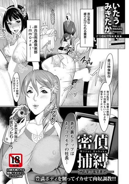 密偵捕縛 〜地下室の電気責め〜【単話】