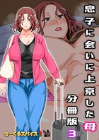 息子に会いに上京した母 分冊版 3