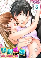 【セット売り】強●結婚。花嫁はドS社長の下僕 b458astd01338のパッケージ画像 【セット売り】強●結婚。花嫁はドS社長の下僕 b458astd01338のパッケージ画像
