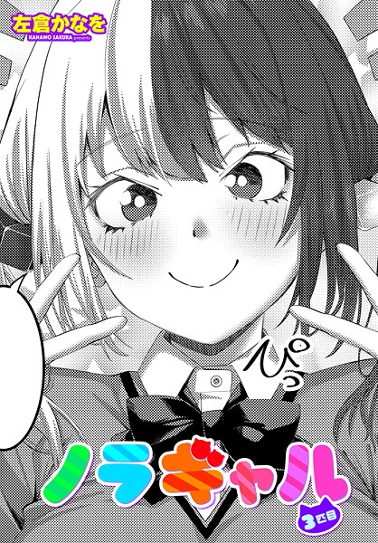 ノラギャル3匹目