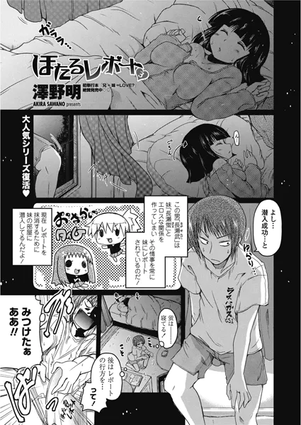 ほたるレポート 3