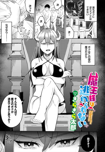 b472abnen04290 表紙