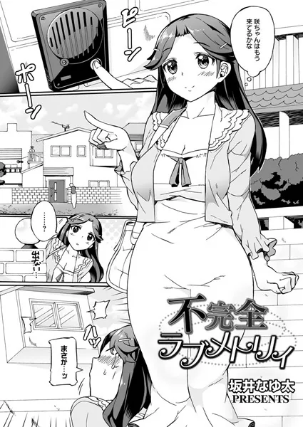 不完全ラブメトリィ