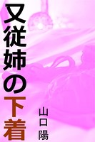 又従姉の下着 b495asgt00558のパッケージ画像 又従姉の下着 b495asgt00558のパッケージ画像