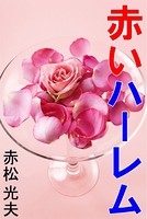 赤いハーレム b495asgt00702のパッケージ画像 赤いハーレム b495asgt00702のパッケージ画像