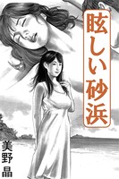 眩しい砂浜 b495asgt00730のパッケージ画像 眩しい砂浜 b495asgt00730のパッケージ画像