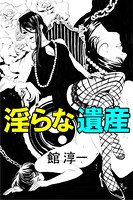 淫らな遺産 b495asgt01153のパッケージ画像 淫らな遺産 b495asgt01153のパッケージ画像
